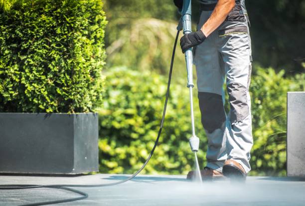 Best Dumpster Area Cleaning  in Millport, AL