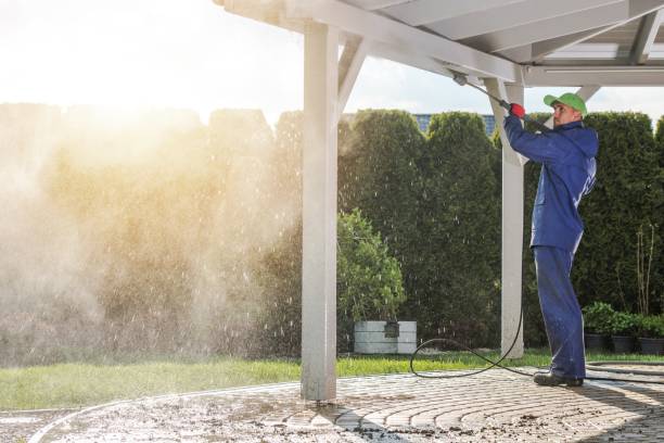 Best Dumpster Area Cleaning  in Millport, AL