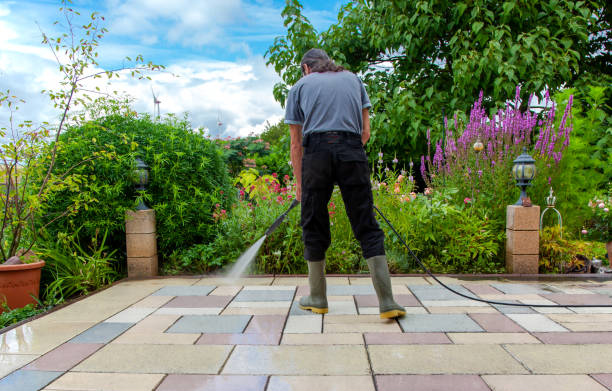 Best Animal Enclosure Cleaning  in Millport, AL